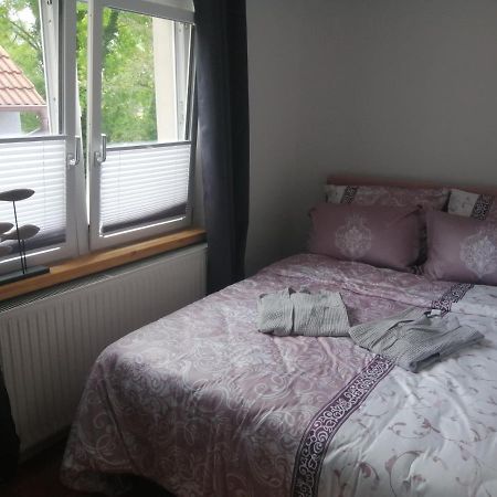 Ferienhaus Zur Alten Schleuse Wettin Kültér fotó