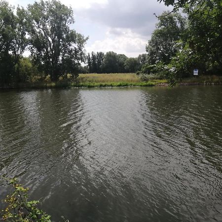Ferienhaus Zur Alten Schleuse Wettin Kültér fotó